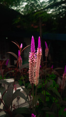 Beautiful Small Flowers Between Sunlit Dresses
