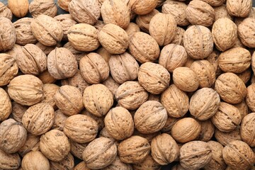 Fresh walnuts in shells as background, top view