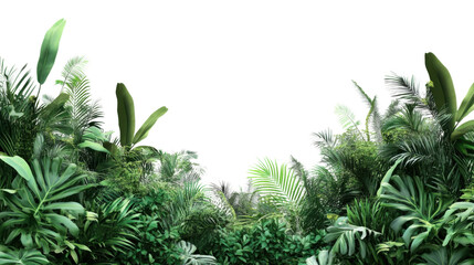 Tropical plants creating a lush green border on transparent background