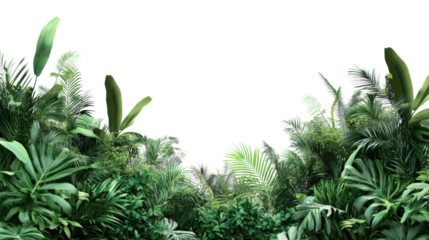 Tropical plants creating a lush green border on transparent background