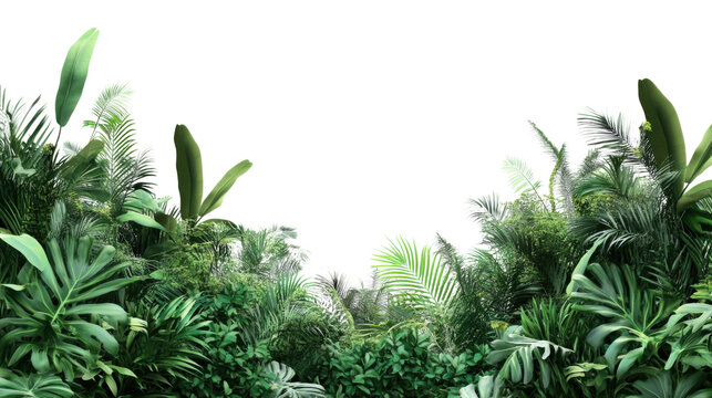 Fototapeta Tropical plants creating a lush green border on transparent background