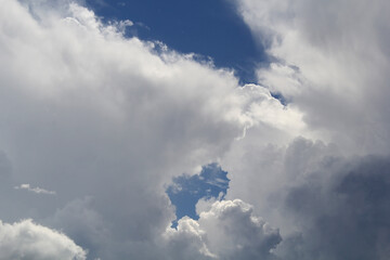 Fototapeta premium Close-up of cumulus fluffy white clouds in a blue sky