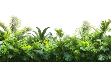 Tropical plants creating a lush green border on transparent background
