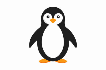 penguin on a white