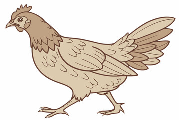 hen isolated on white