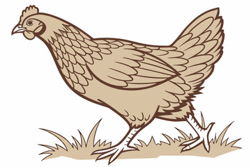 hen and chicken