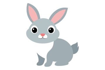 white rabbit isolated on white