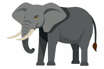 elephant cartoon isolated on white