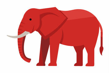 elephant isolated on white