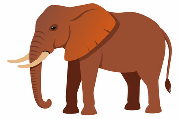 Fototapeta premium elephant cartoon isolated on white