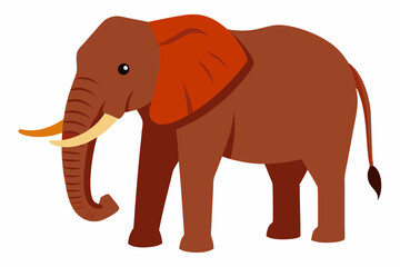 elephant cartoon illustration