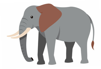 Fototapeta premium elephant cartoon isolated on white