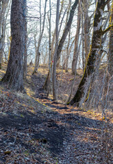 outdoor walks in a nature park with an overview of the area