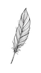 A delicate, thick black-lined doodle of a single feather, with fine, hand-sketched details on a white background.

