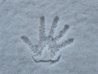 Palm print in fresh white snow
