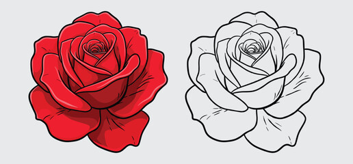 Valentine  colorful roses vector illustration with white background 