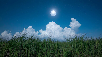 Night scene, moonlit field, clouds, grass. Use Wallpaper, background