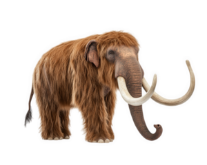 Mammoth with long tusks and shaggy fur, standing on transparency background, showcasing its prehistoric features and majestic presence