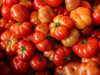 tomatoes in the market