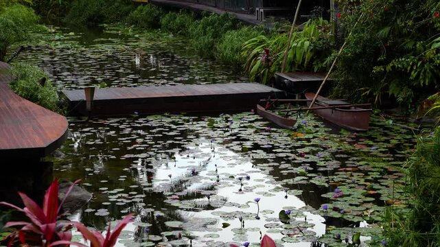 A traditional Maori canoe or Vaka on a water with beautiful water lilies.
