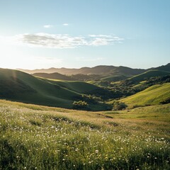 Obraz premium Stunning landscape photography: Serene rolling hills, vibrant wildflowers meadow bathed in golden sunlight. Peaceful countryside scenery, perfect for nature lovers.