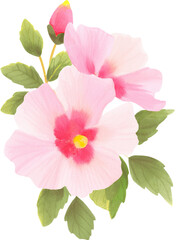 Fototapeta premium flower, 분홍, 네이처, 뜰, 블로섬, 개화, 식물, 식물, 봄, 여름, 로즈, 보라색, 꽃, flower, 히비스커스, 미, 근접, 매크로, 꽃잎, 백, 고립시키는, beautiful, 제라늄, 개화, 무궁화, 독립운동, 광복, 해방, 삼일절, 3.1절, 4.15광복, 광복절, 현충일, 대한민국 국가보훈, 국가보훈의날,