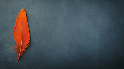 A striking orange feather rests on a dark textured background, representing creativity and freedom in minimalist design.