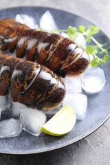 Raw lobster tails with microgreens, lime and ice on grey table, closeup