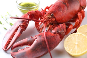 Delicious boiled lobster with oil, microgreens and lemon pieces on white table, closeup