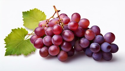 Fototapeta premium bunch of grapes isolated on white. Grapes isolated on white background.