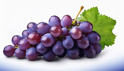 Fototapeta premium bunch of grapes isolated on white. Grapes isolated on white background.