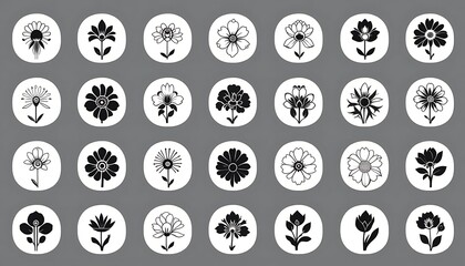 set of flowers vector