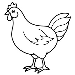 Fototapeta premium hen and rooster