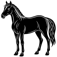 Obraz premium horse illustration
