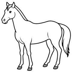 Obraz premium horse illustration