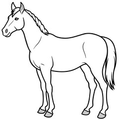 horse illustration