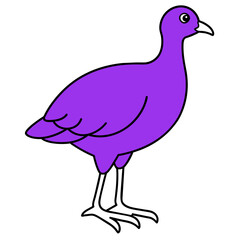 illustration of duck