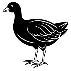illustration of duck