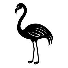 illustration of a flamingo