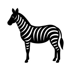 zebra vector illustration