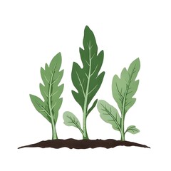 Fototapeta premium Thriving Green Leaves in a Sustainable Ecological Environment