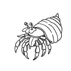 Obraz premium illustration of a hermit crab line art vector