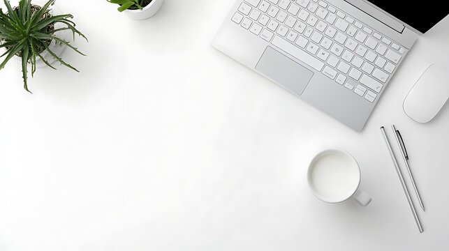 Workspace with laptop, milk, and plants
