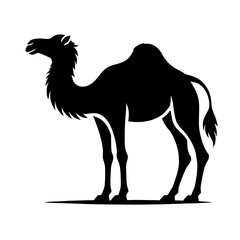 Fototapeta premium Camel Silhouette: A strong and elegant silhouette of a camel, a powerful symbol of resilience, adaptation, and endurance in the harsh desert environment.
