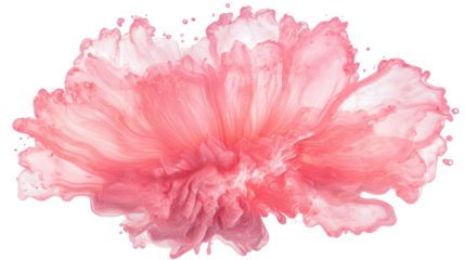 Pink paint splashing and forming a flower shape with transparent background