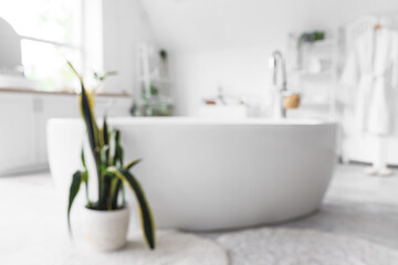 Blurred view of light bathroom with plants, shelf units and bathtub