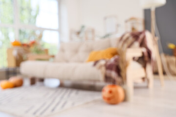 Blurred view of living room with sofa and pumpkins