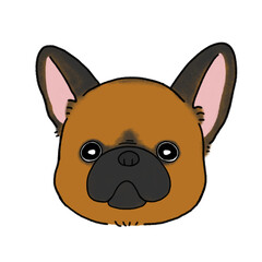 フレンチブルドッグの顔(フォーン2)