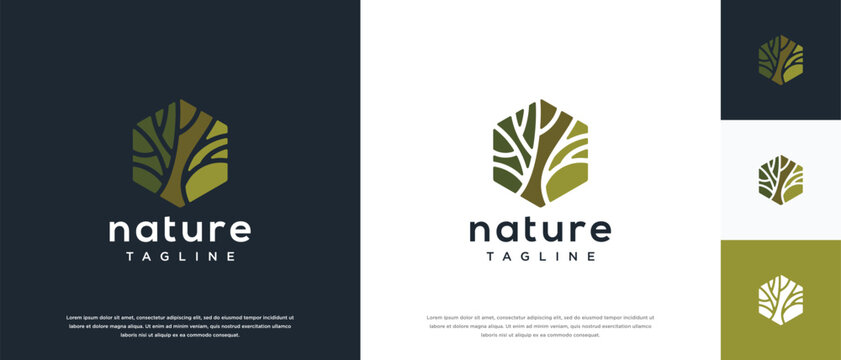 Nature tree logo design. Hexagon nature tree logo template. Nature logo symbol icon