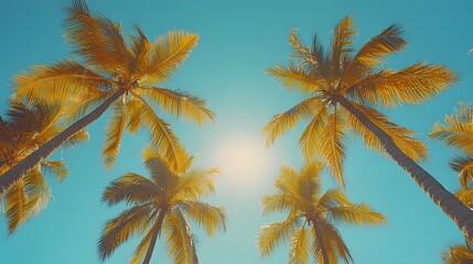 Scenic View of Palm Trees from Below with Sunlight and Blue Sky in the Background, Tropical Palm Trees Against a Sunny Blue Sky, Relaxing Summer Vacation and Paradise Concept